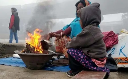 हरियाणा में कोल्ड वेव का कहर छुड़ा रहा कंपकंपी, मौसम विभाग ने जारी किया अलर्ट