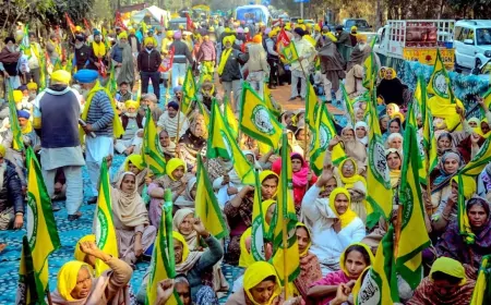 शंभू बॉर्डर पर किसानों पर बल प्रयोग: 15 किसान घायल, सरवन सिंह पंधेर का बड़ा बयान