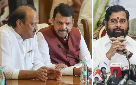 Maharashtra Cabinet Expansion: महाराष्ट्र में CM फडणवीस की टीम तैयार, कैबिनेट में भाजपा के 19, शिवसेना के 11 और NCP कोटे से 9 विधायक बने मंत्री