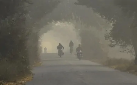 हरियाणा में शीतलहर और पाले से बचने के लिए Advisory जारी