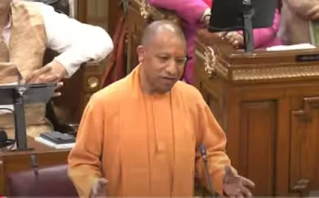 'बाबरनामा भी यह कहता है...' विधानसभा में CM योगी आदित्यनाथ ने संभल पर किया बड़ा दावा
