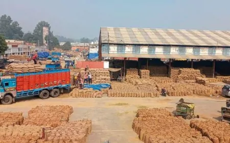 करनाल की नई अनाज मंडी में शिफ़्ट होगी गुड़ मंडी, मुख्यमंत्री नायब सैनी ने दी मंजूरी 