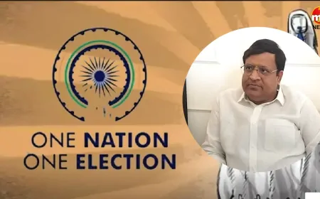 एक देश-एक चुनाव  को लेकर कैबिनेट मंत्री विपुल गोयल का बड़ा बयान, कहा- तेजी से होगा विकास