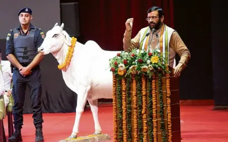 नायब सरकार का गौ संरक्षण अभियान: गौशालाओं को मिलेगी पांच गुना अनुदान राशि