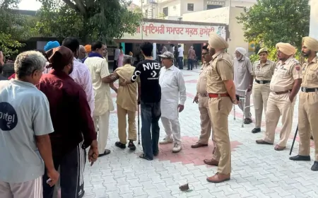 पंजाब में नगर निगम चुनाव के लिए वोटिंग जारी, 3336 उम्मीदवार चुनावी मैदान में उतरे 