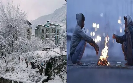 ठंड का डबल प्रकोप: पहाड़ों पर बर्फबारी तो मैदानों इलाकों में हड्डियां कंपाने वाली ठंड