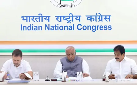 दिल्ली विधानसभा चुनाव 2025: कांग्रेस ने तेज की तैयारियां, 28 उम्मीदवारों के नाम फाइनल - सूत्र