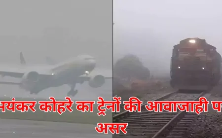 दिल्ली में कोहरे का कहर! रेलवे और एयरपोर्ट पर असर, यात्रा से पहले अपडेट चेक करें