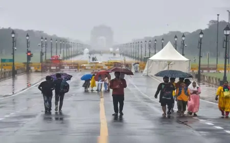 उत्तर भारत में ठंड का सितम जारी, दिल्ली-NCR में  लगातार बारिश से कड़ाके की ठंड