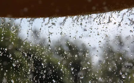 फसलों के लिए वरदान, जनता के लिए आफत बनकर बरस रही बारिश