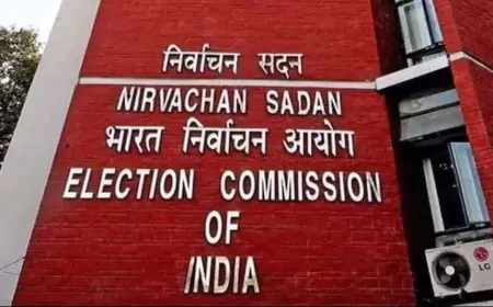 हरियाणा में निकाय चुनाव की तैयारियां हुई तेज, ट्रांसफर पर लगी रोक