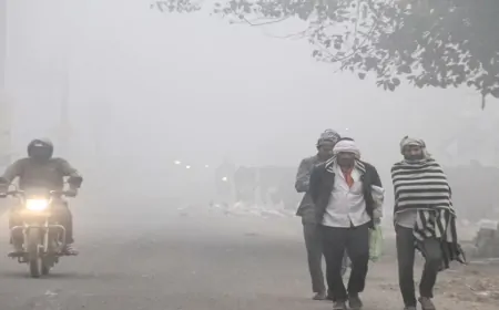 उत्तर प्रदेश में ठंड, बारिश और कोहरे का कहर, IMD ने जारी किया अलर्ट