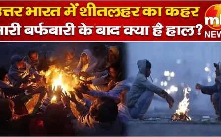 उत्तर भारत में शीतलहर का कहर, भारी बर्फबारी के बाद क्या है हाल ?