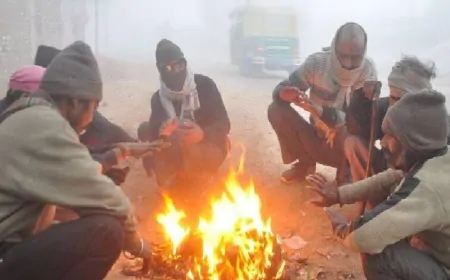 UP: कोहरे और शीतलहर की चपेट में प्रदेश, लखनऊ सहित 50 जिलों में कोल्ड-डे की चेतावनी