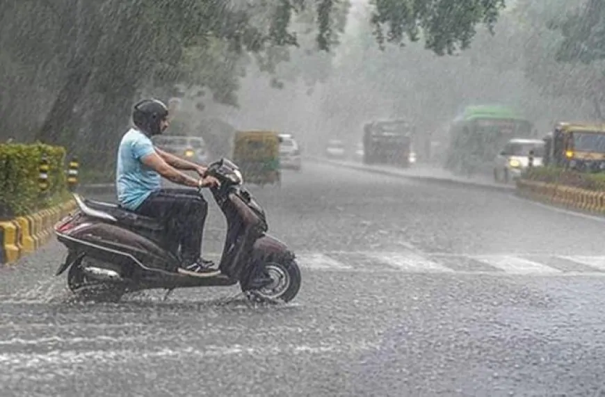 हरियाणा-पंजाब में मौसम बदलेगा करवट, झमाझम होगी बारिश, 19 जिलों में येलो अलर्ट