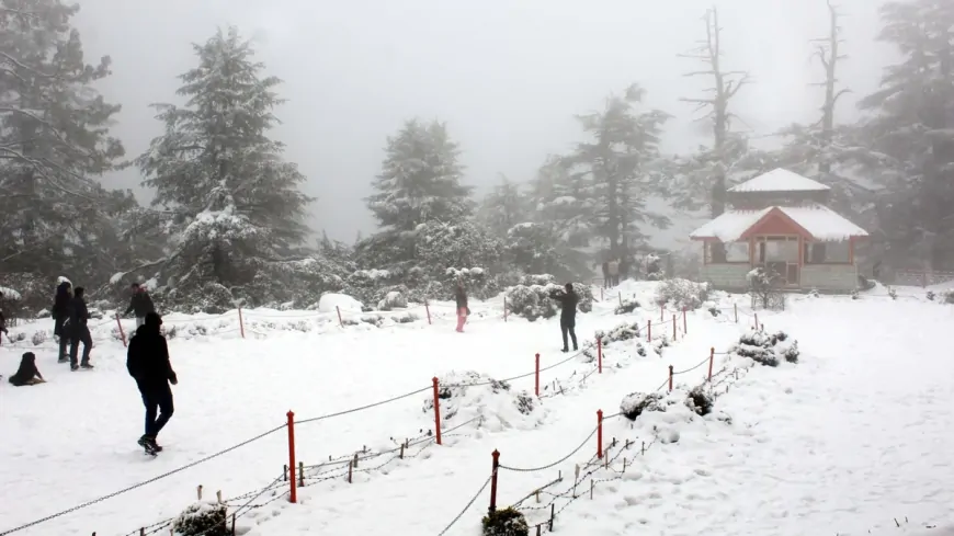 उत्तर भारत में बर्फबारी का कहर: पहाड़ से मैदान तक बढ़ी ठंड, हिमाचल में दो की मौत