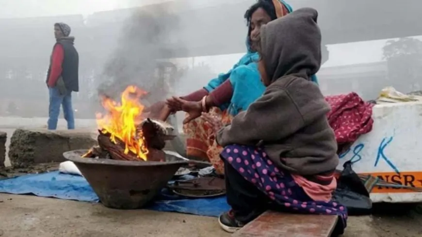 हरियाणा में कोल्ड वेव का कहर छुड़ा रहा कंपकंपी, मौसम विभाग ने जारी किया अलर्ट