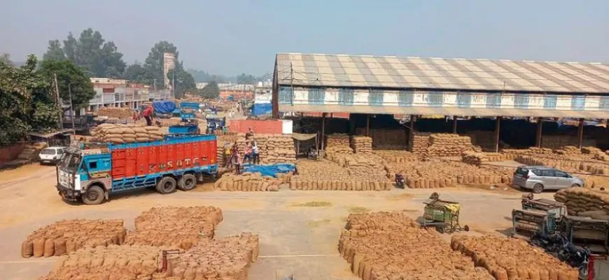 करनाल की नई अनाज मंडी में शिफ़्ट होगी गुड़ मंडी, मुख्यमंत्री नायब सैनी ने दी मंजूरी 