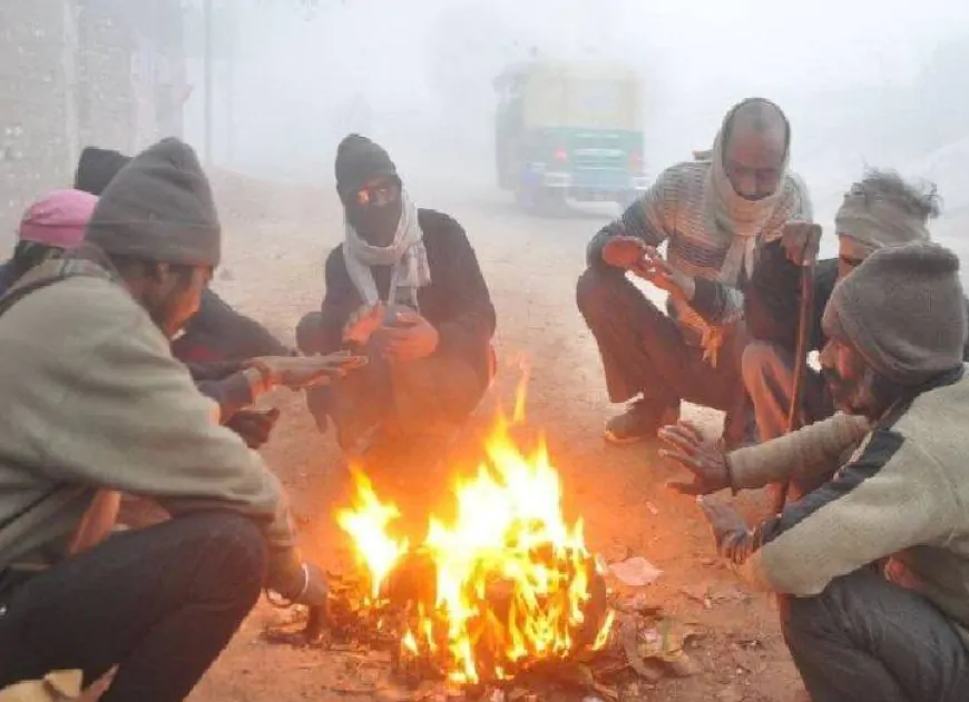 UP: कोहरे और शीतलहर की चपेट में प्रदेश, लखनऊ सहित 50 जिलों में कोल्ड-डे की चेतावनी