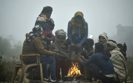 नए साल पर ठंड से कांपा हरियाणा, कईं जिलों के लिए अलर्ट जारी