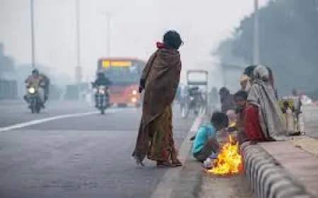 दिल्ली में घना कोहरा, हिमालय में बर्फबारी: जानें, इन राज्यों का मौसम कैसा रहेगा