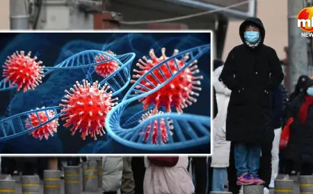 चीन में फिर आई इमरजेंसी... कोरोना जैसे जानलेवा वायरस HMPV ने बढ़ाई चिंता