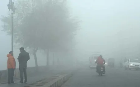 Weather Update: पंजाब और हरियाणा में कोहरे ने ढाया सितम, जानें इन शहरों के मौसम का हाल