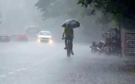 हरियाणा के कई जिलों में हुई बारिश, 11 जिलों में घने कोहरे का येलो अलर्ट 