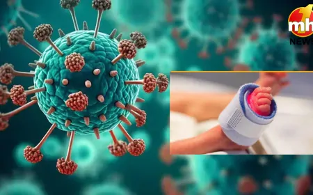 HMPV वायरस की भारत में दस्तक,  कर्नाटक में 3 और 8 महीने के बच्चों में मिला संक्रमण