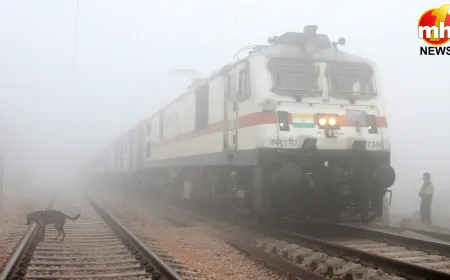 ठंड और कोहरे की मार ! कई ट्रेनें घंटों तक लेट, यात्री परेशान