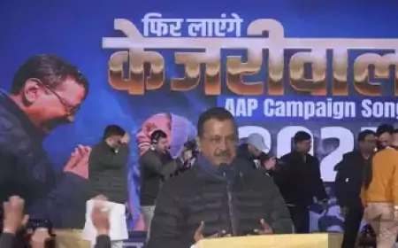दिल्ली विधानसभा चुनाव के लिए AAP ने लॉन्च किया चुनावी कैंपेन सॉन्ग 