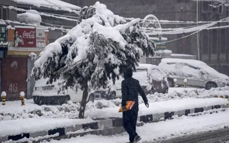 कोहरे और कड़ाके की ठंड से 13 राज्यों में जनजीवन अस्त-व्यस्त, मौसम विभाग ने जारी किया अलर्ट