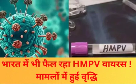 HMPV Virus in India: भारत में HMPV वायरस के मामलों में वृद्धि, क्या चिंता का कारण है ?
