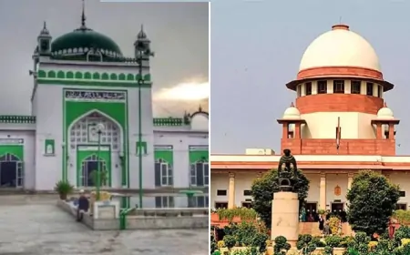 संभल मंदिर-मस्जिद विवाद: इलाहाबाद हाईकोर्ट ने जिला अदालत की सुनवाई पर लगाई रोक