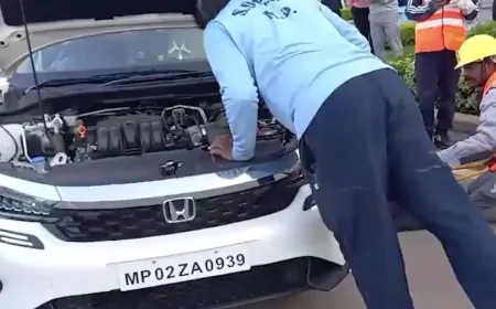 IAS अधिकारी की कार में घुसा जहरीला सांप, आधे घंटे की मशक्कत के बाद हुआ रेस्क्यू 