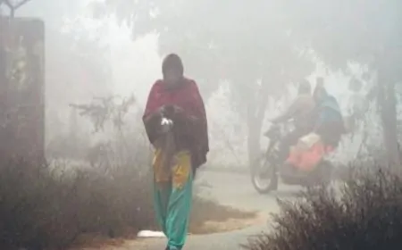 हरियाणा में एक्टिव होगा पश्चिमी विक्षोभ, घने कोहरे का अलर्ट, झमाझम बरसेंगे बदरा