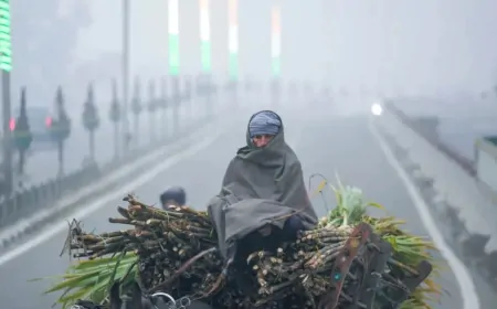 Weather Update: दिल्ली में कोहरा, यूपी-बिहार में बारिश, पहाड़ों पर फिर बर्फबारी कब?