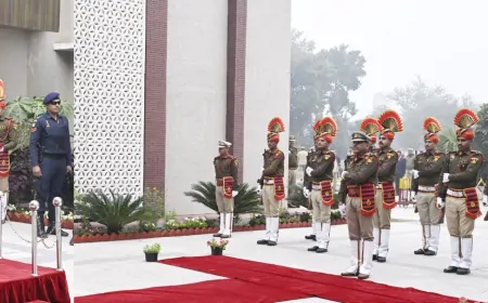 CM नायब सिंह सैनी ने हरियाणा में पुलिस को दिया फ्री हैंड, इमिग्रेशन पर बनाया जाएगा कानून