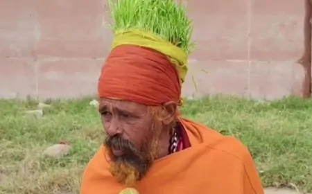 महाकुंभ में पहुंचे ’अनाज वाले बाबा’, अपने सिर पर उगा रहे हैं फसल 