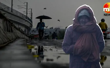 दिल्ली-NCR का बदला मिजाज, अगले दो दिन हल्की बारिश और धुंध की संभावना