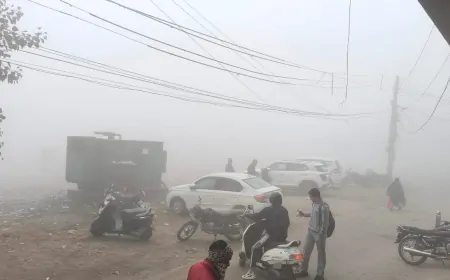 कोहरे ने की वाहनों और ट्रेनों की रफ्तार धीमी, पश्चिमी विक्षोभ से बूंदाबांदी के आसार