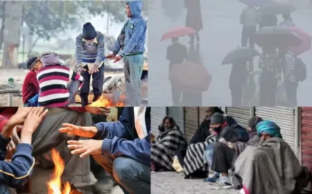 दिल्ली-NCR में मौसम ने ली करवट,हल्की बारिश और ठंडी हवाओं ने बढ़ाई ठिठुरन
