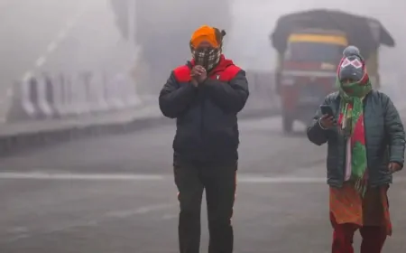 कोहरे की चपेट में हरियाणा, बारिश से बदला मौसम का मिजाज