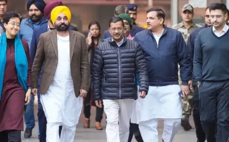 दिल्ली चुनाव: AAP ने जारी की स्टार प्रचारकों की लिस्ट, CM मान का नाम भी शामिल 