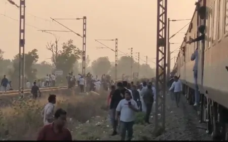 पुष्पक एक्सप्रेस ट्रेन हादसा: आग की अफवाह के बाद मची भगदड़, 6 की मौत, 40 घायल
