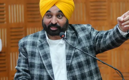 Punjab: सभी जिलों के उपायुक्त CCTV से रखेंगे तहसीलों के काम पर नजर