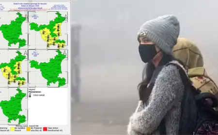 हरियाणा में फिर बदलेगा मौसम का मिजाज ! विभाग ने जारी किया अलर्ट