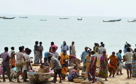 श्रीलंकाई नौसेना की गोलीबारी में 5 भारतीय मछुआरे घायल, भारत बोला- 'इस तरह का...'