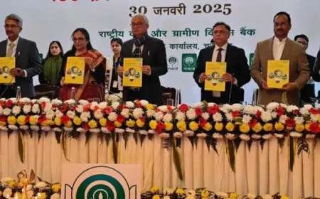 हरियाणा के लिए 2025-26 हेतु नाबार्ड ने घोषित किया 3.14 लाख करोड़ रुपए का क्रेडिट प्लान