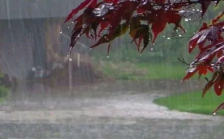 हरियाणा में फिर बरसेंगे बदरा, मौसम विभाग ने जताई संभावना